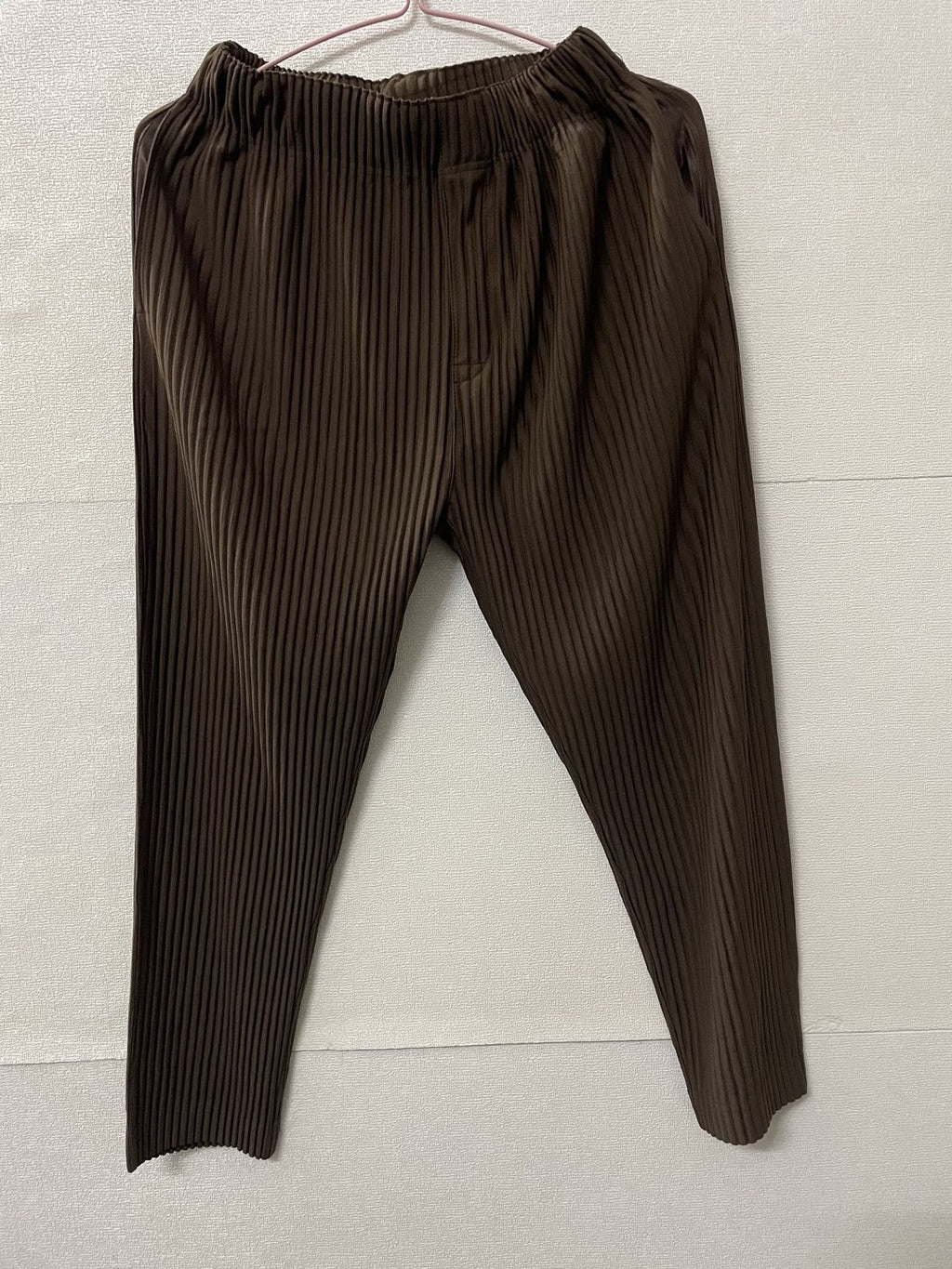 Pleated Pants