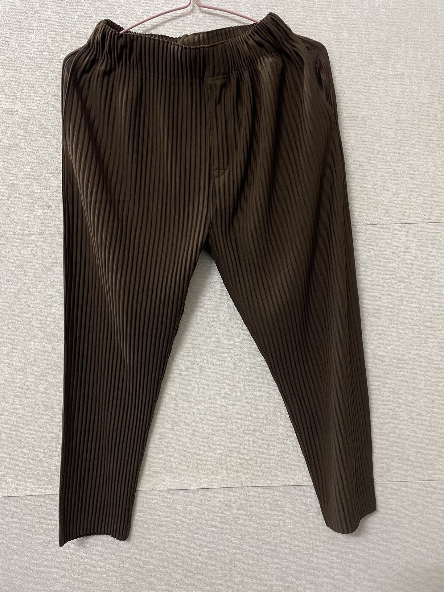 Pleated Pants