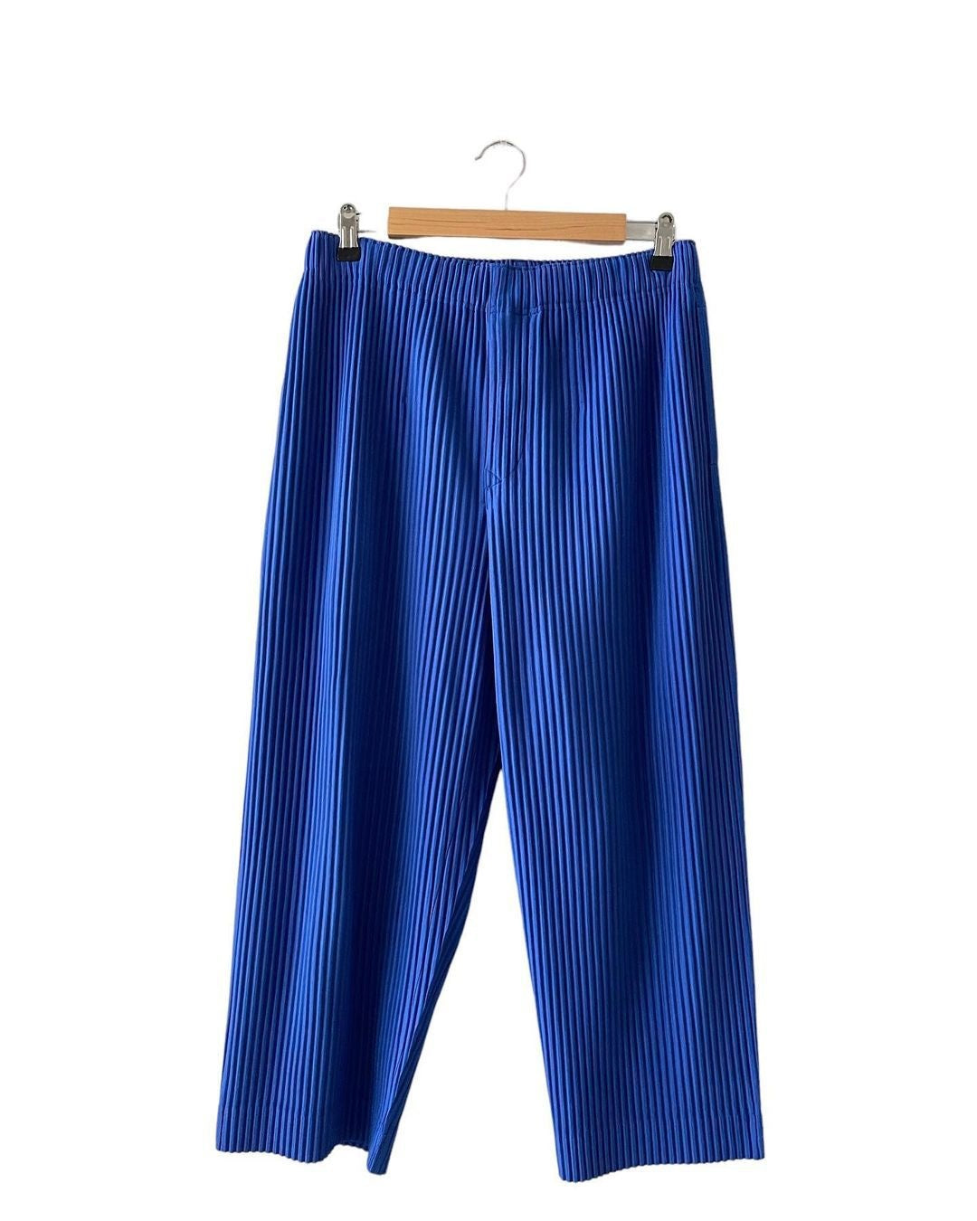 Pleated Pants